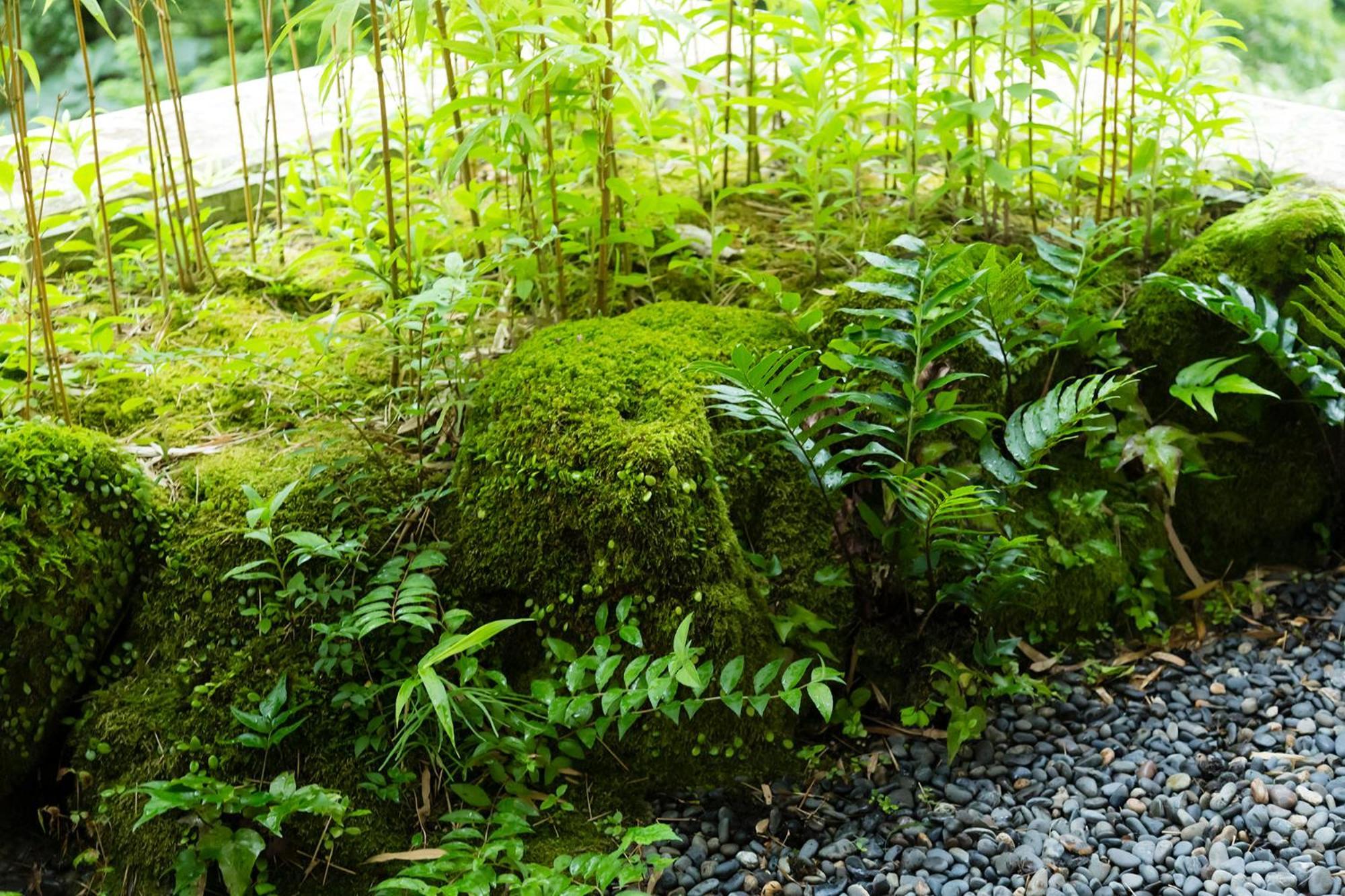 Hakone Yumoto Onsen Hotel Kajikaso Bagian luar foto