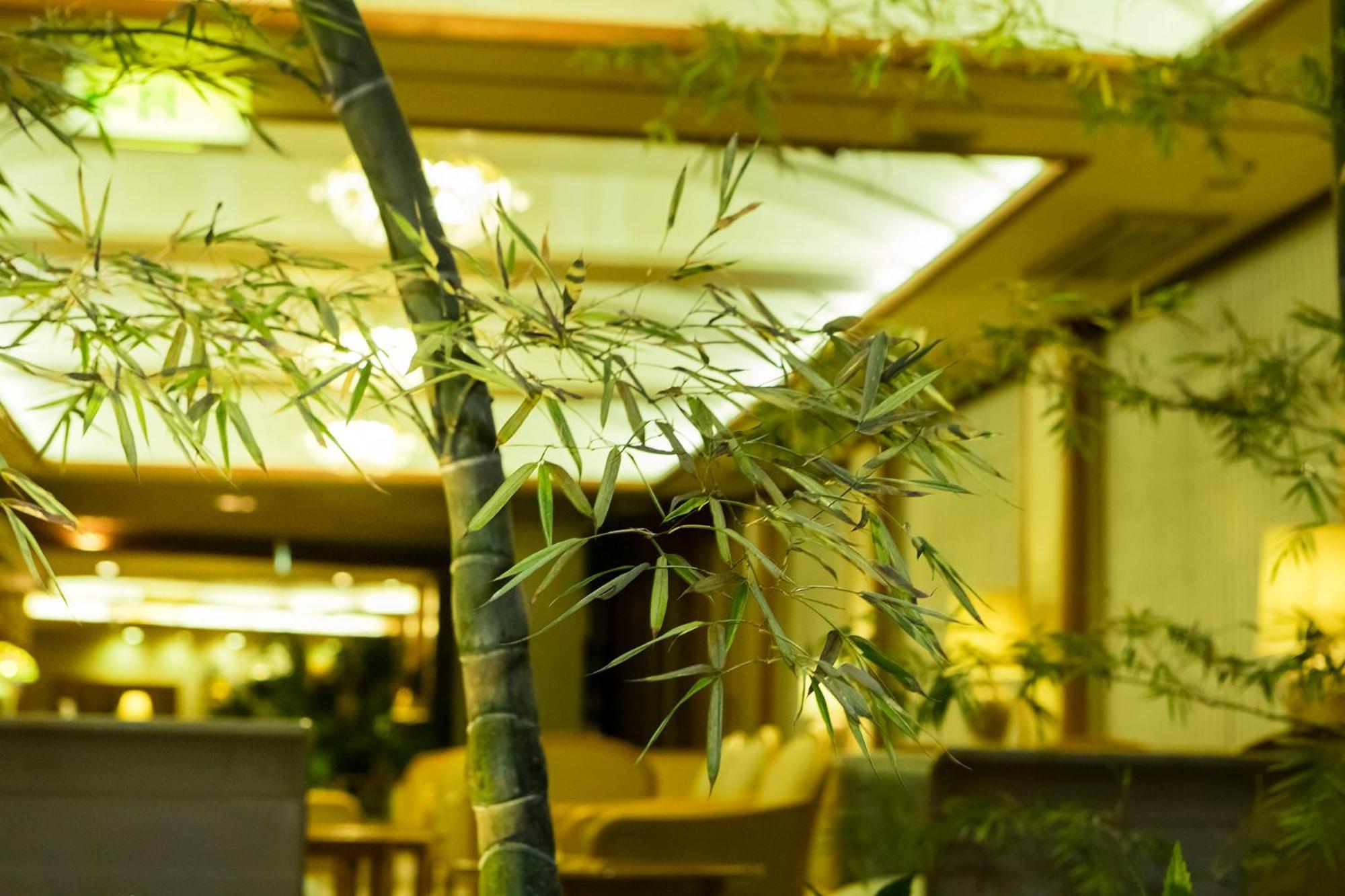 Hakone Yumoto Onsen Hotel Kajikaso Bagian luar foto